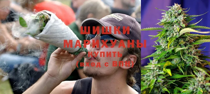 Каннабис SATIVA & INDICA  Кинешма 